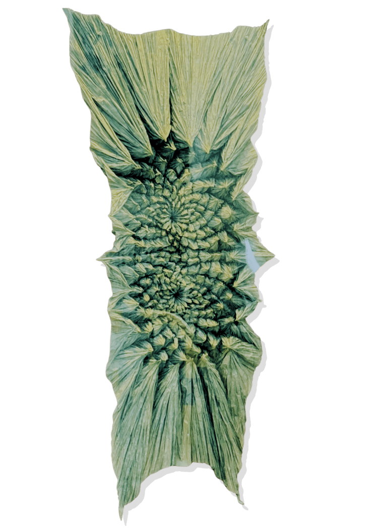 LUIS MATÍAS SANTOS, 16.7 GRAVITACIONALES