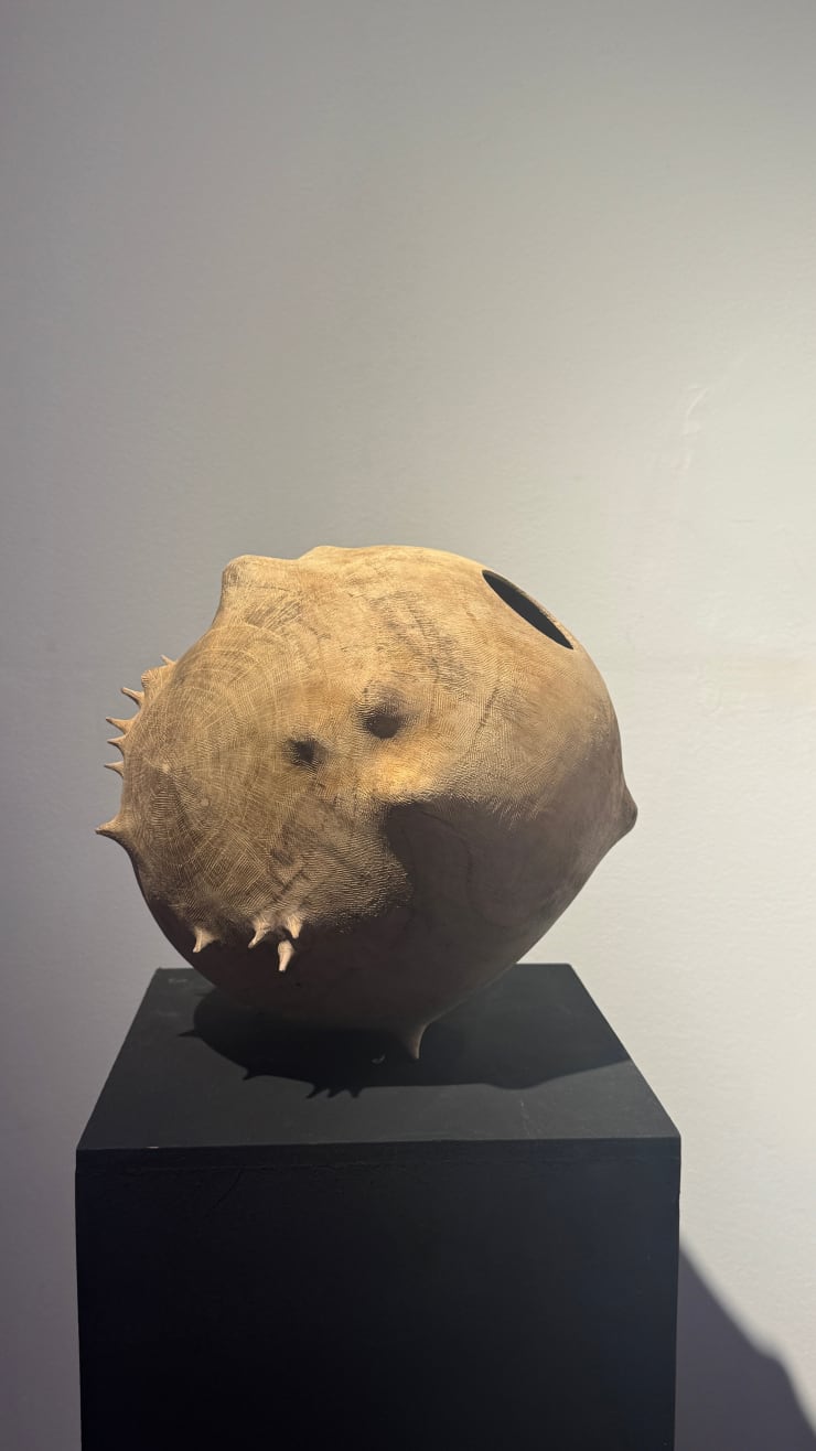 TONI PORTO, CARBALLO. /ROBLE GALLEGO/