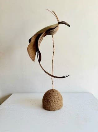 DANIEL SALORIO, ROUND MIDNIGHT