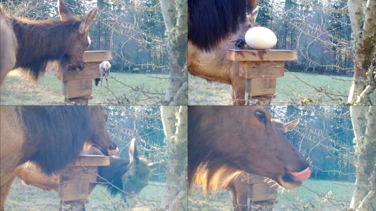 Malia Jensen, Nearer Nature: Worth Your Salt, 2020