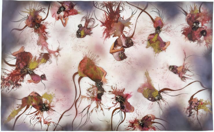 Wangechi Mutu, Cassandra, 2007