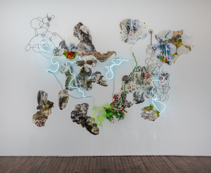 Judy Pfaff, TERRA, 2025