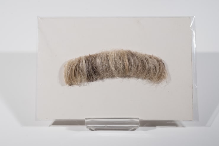 T. Kelly Mason, Moustache, 2019