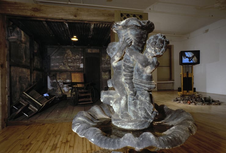 Mary Lucier, Asylum (A Romance), 1986