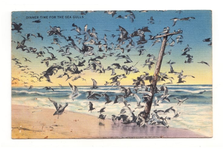 David Opdyke, Service Interruption, 2023