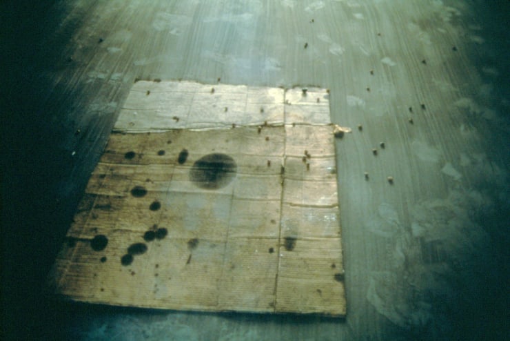 Gabriel Orozco, Semillas y carton [Seeds and cardboard], 1993