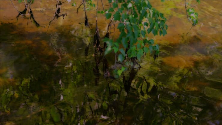 peter campus, bis, 2022