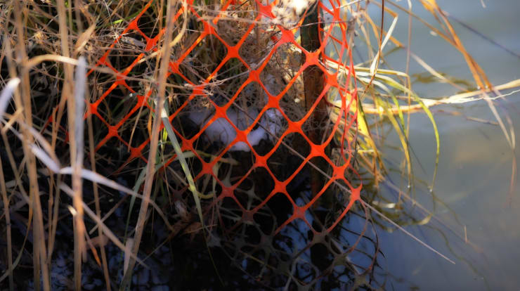 peter campus, post morrow, winter, 2023