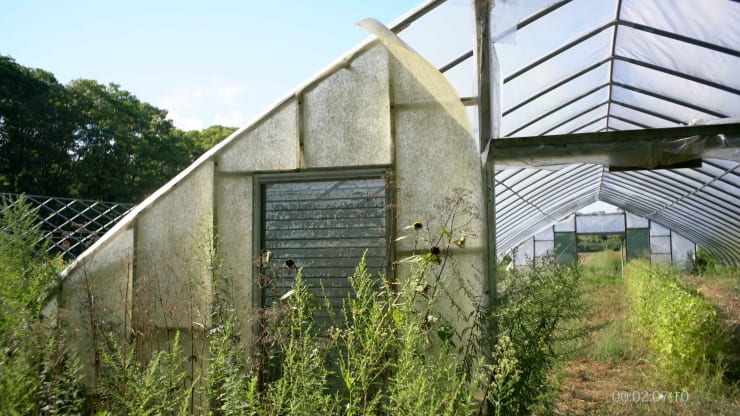 peter campus, pause 1, 2017