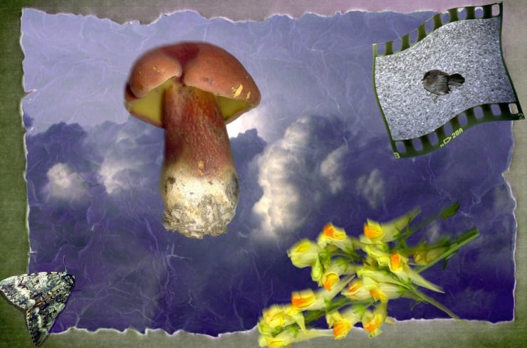 peter campus, debris, 1995