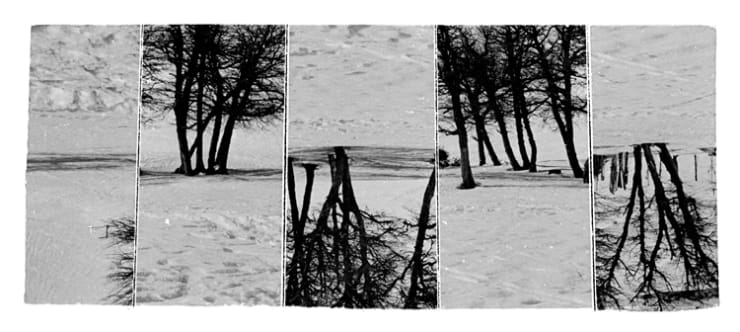 Geraldo de Barros, Sobra no. 208, 1996