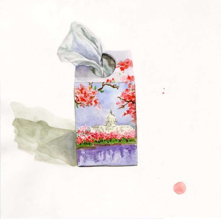 Joan Linder, whitehouse, 2020