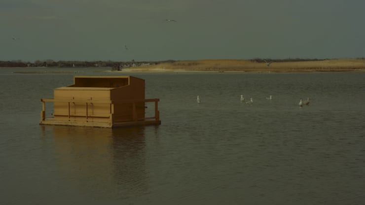 peter campus, which way, 2021