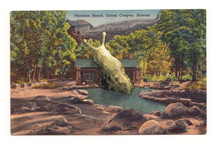 David Opdyke, Charismatic Megafauna, 2024