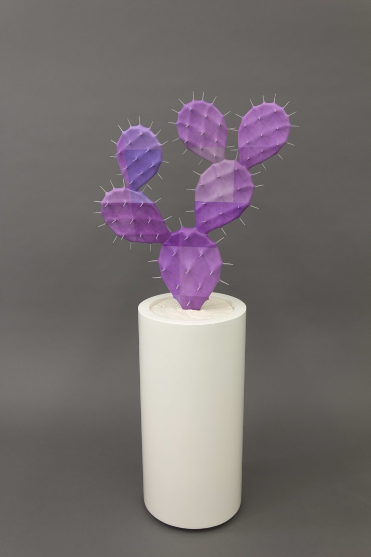 Jennifer Marman and Daniel Borins, Video Tron Opuntia, 2016