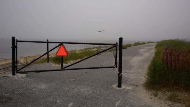 peter campus, barrier, 2020-21