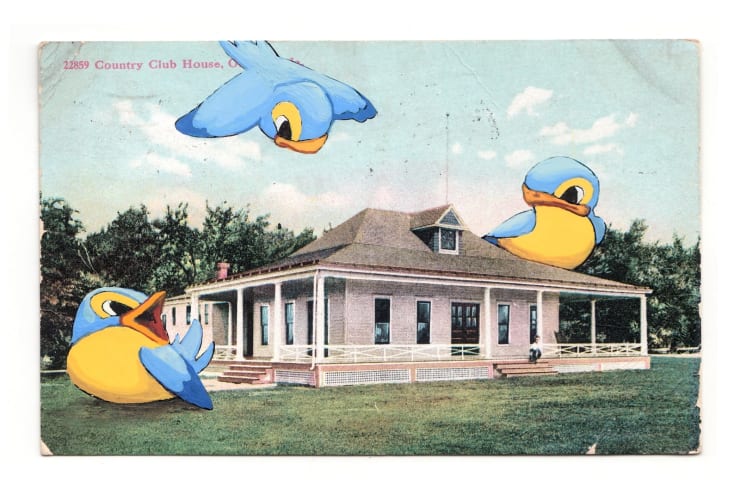 David Opdyke, Recon, 2024