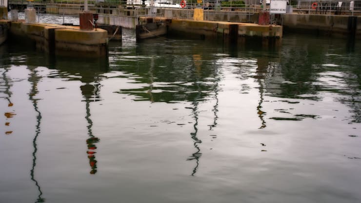 peter campus, locks eddy, 2018