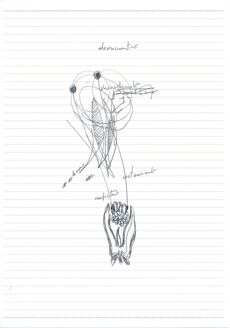 Jorge Tacla, C5 dibujo 8, 2011-2014