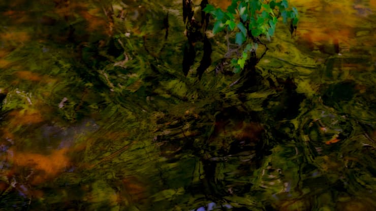 peter campus, strafe, 2022