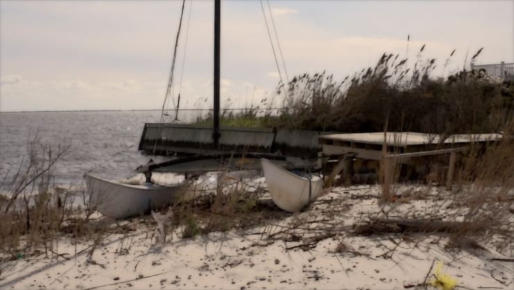 peter campus, catamaran, 2011