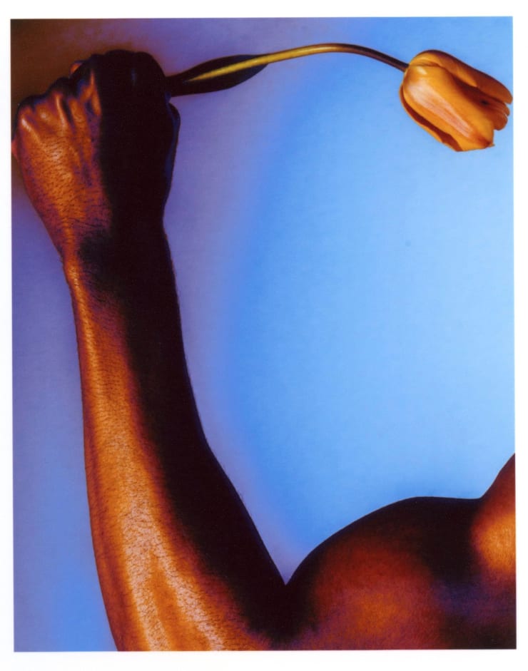 Cameron Ugbodu, Soft Utility, 2022