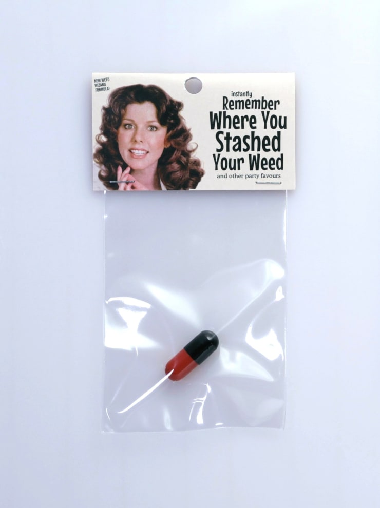 Dana Wyse, Remember where you stashed your weed, 2022