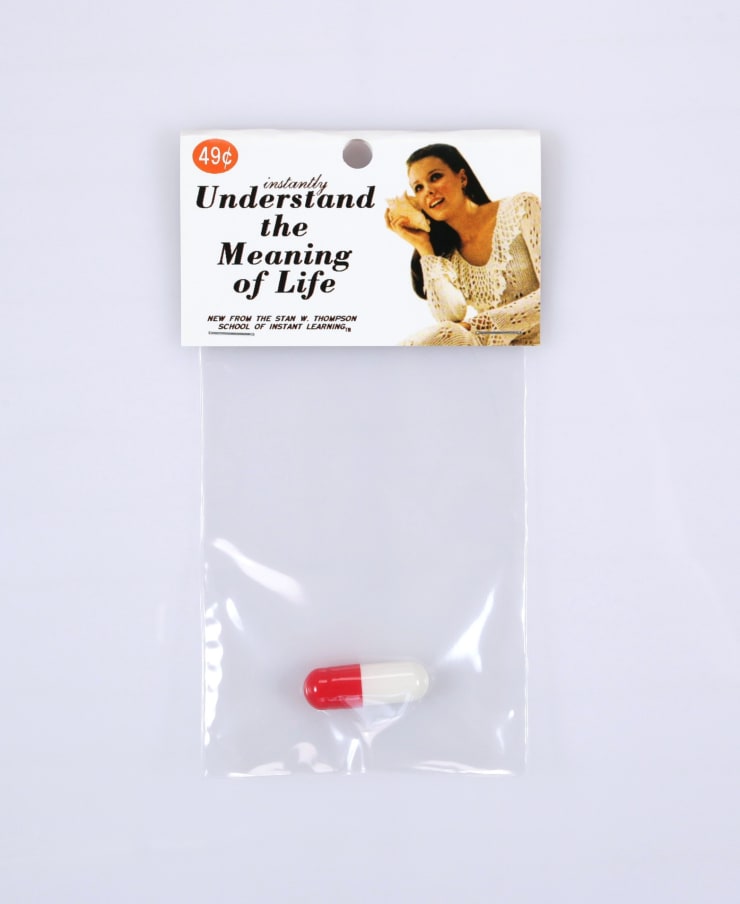 Dana Wyse, Understand the meaning of life, 2001