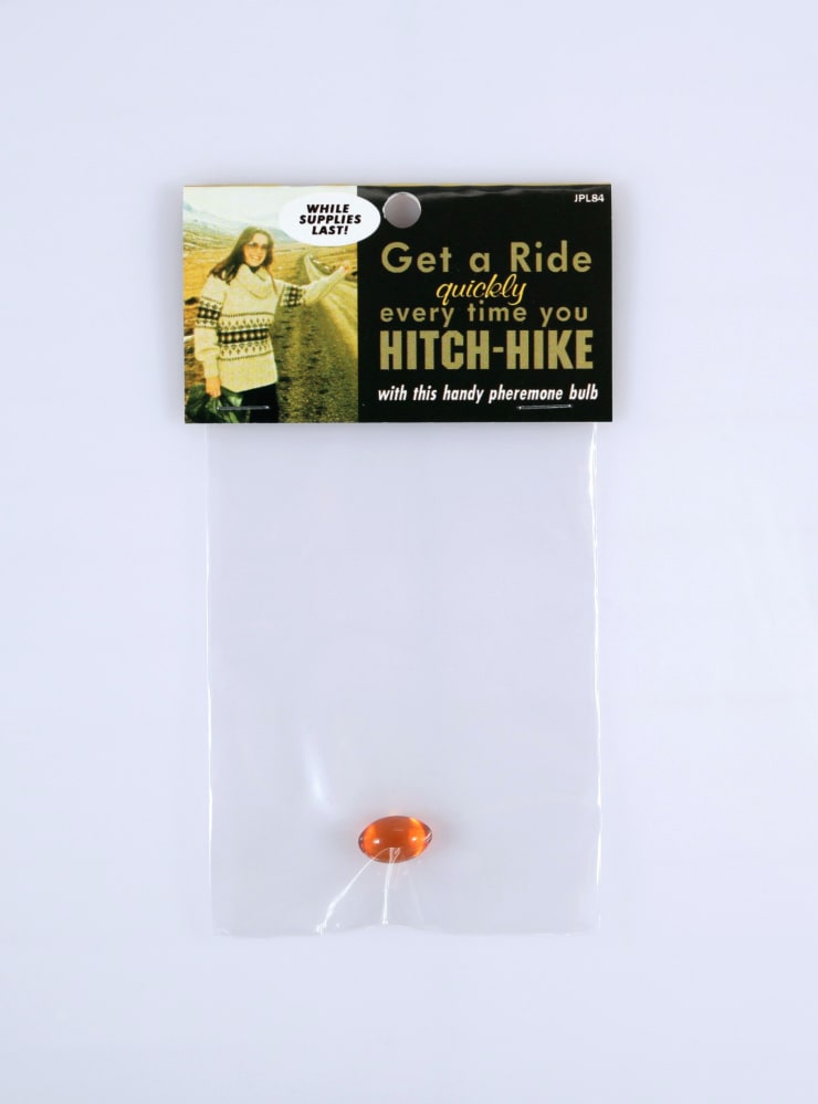 Dana Wyse, Get a ride quickly every time you hitch-hike, 2006