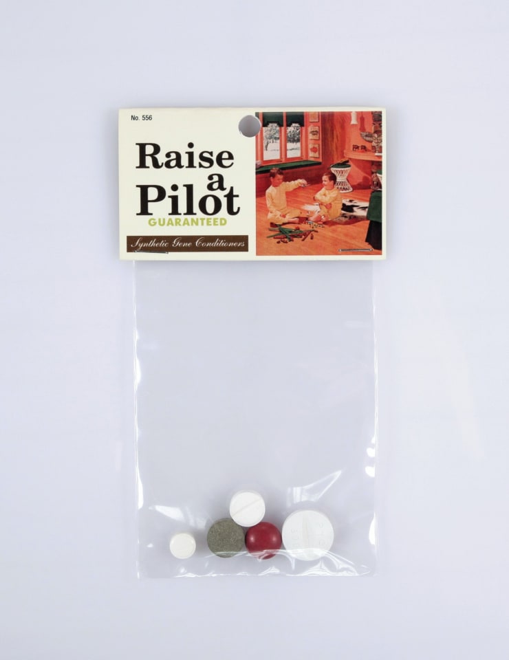 Dana Wyse, Raise a pilot guaranteed, 2002