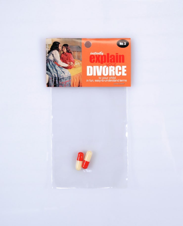 Dana Wyse, Explain divorce easily, 2003