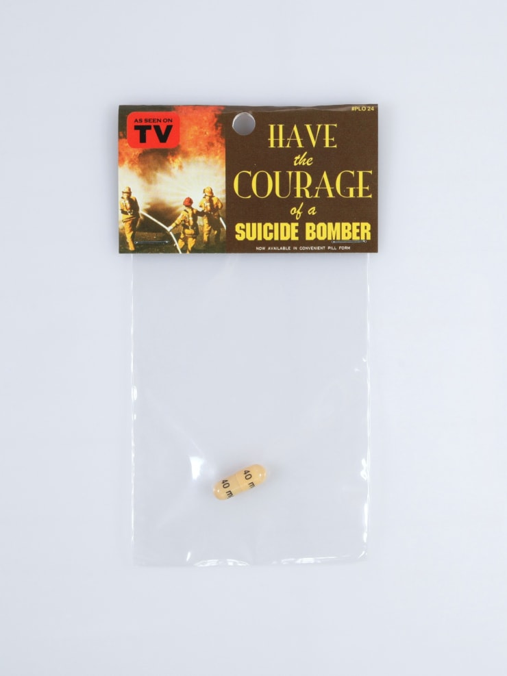 Dana Wyse, Have the courage of a suicide bomber, 2004