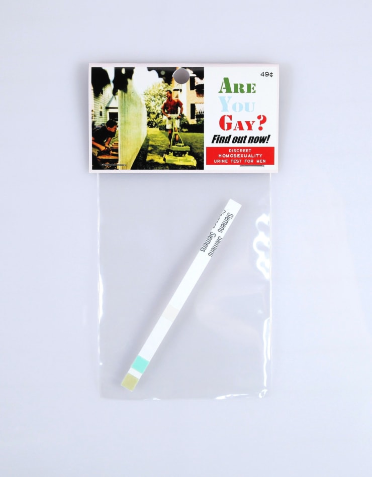 Dana Wyse, Are you gay?, 2001