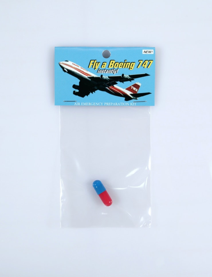 Dana Wyse, Fly a Boeing 747 instantly, 2000