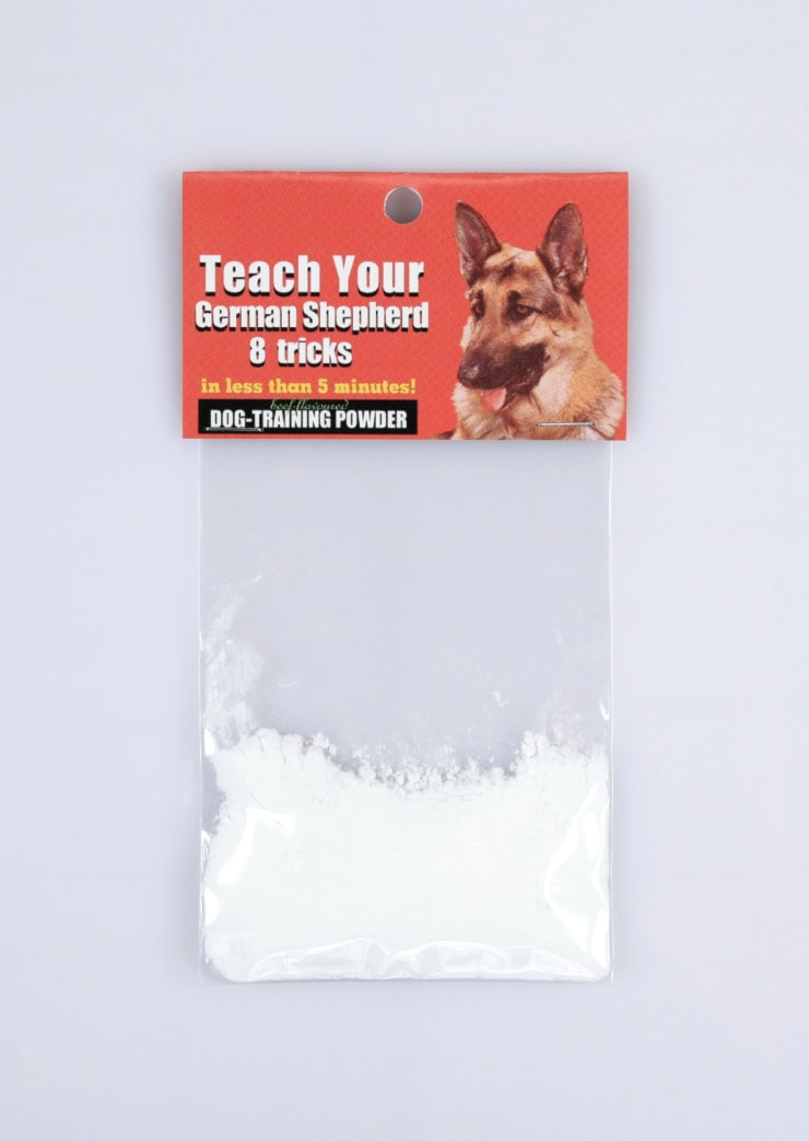 Dana Wyse, Teach your German Shepherd 8 tricks, 2006