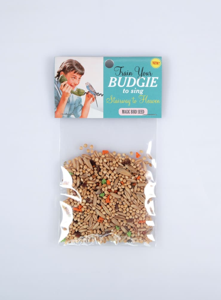 Dana Wyse, Train your budgie to sing "Stairway to heaven", 2011