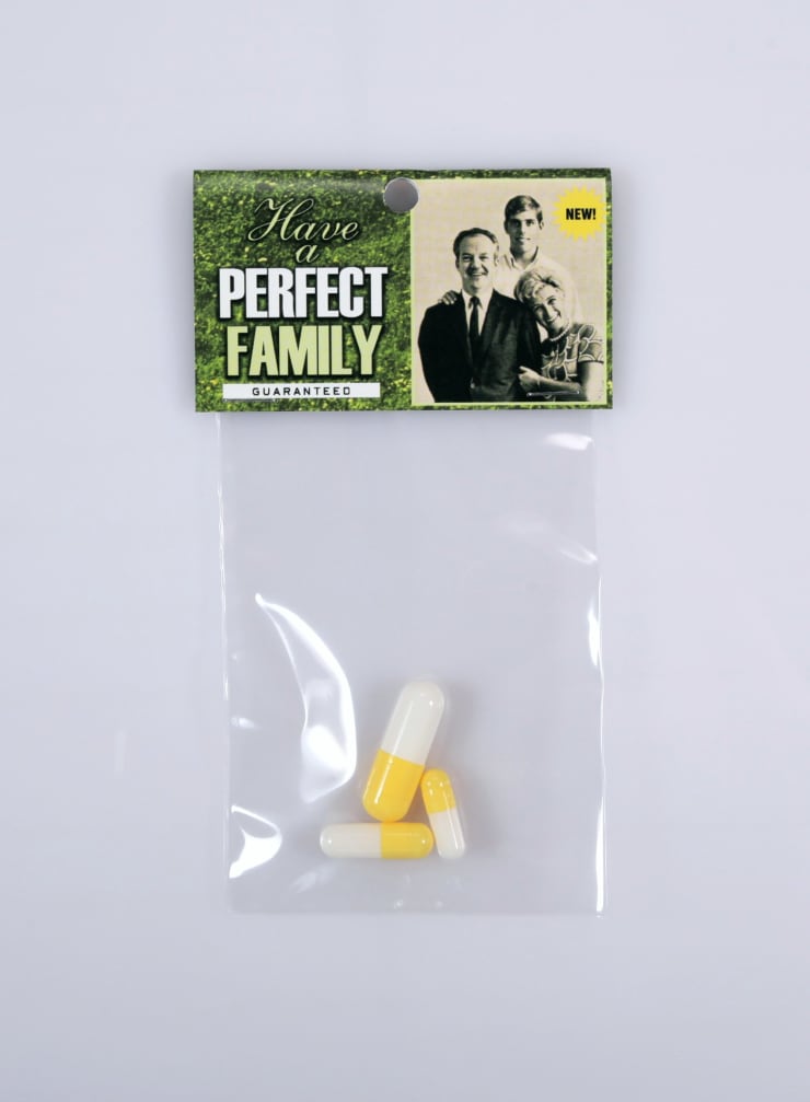 Dana Wyse, Have a perfect family, 2000