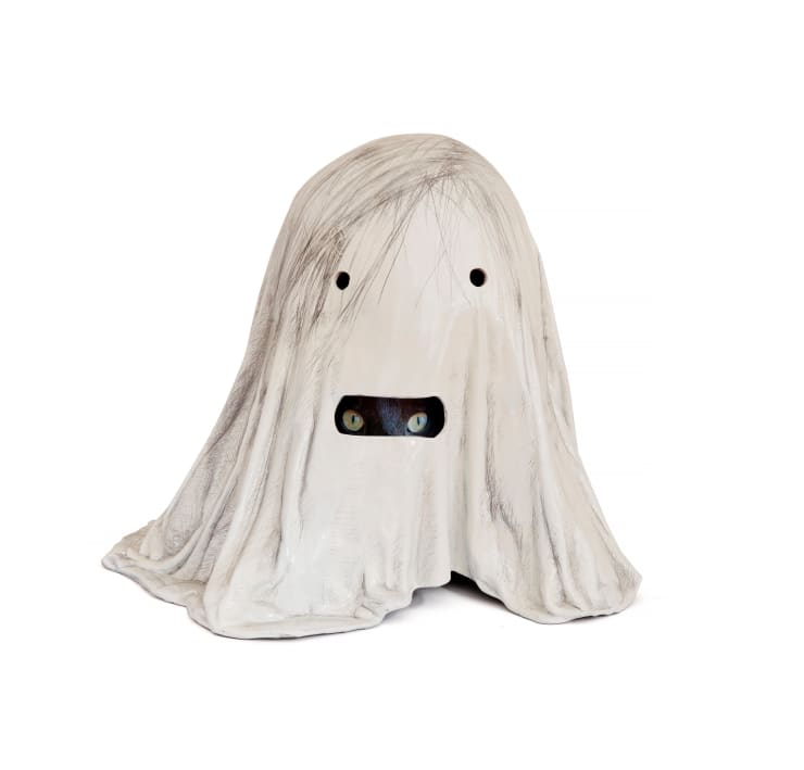 Rana Dehghan, Untitled, 2022