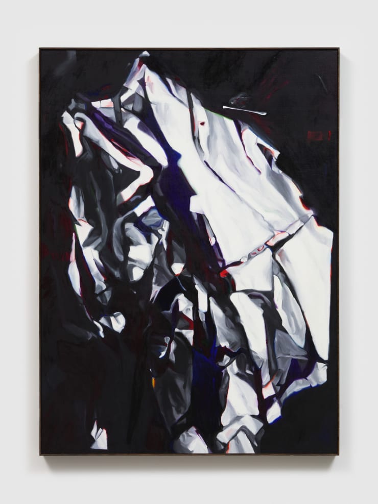 Deborah Remington, Hydrus, 1993