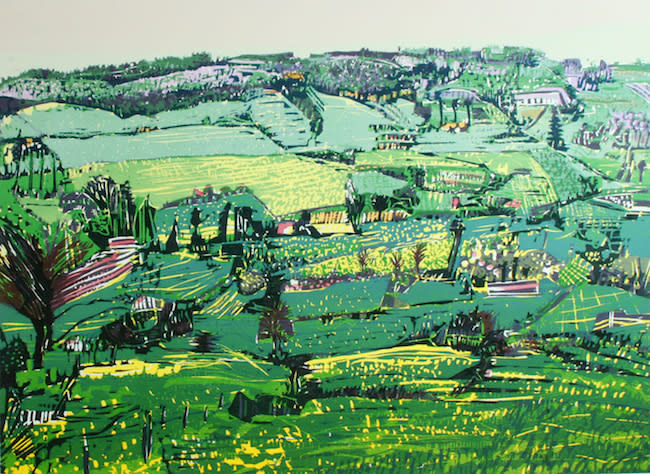 Vincent van Ojen - Heuvellandschap