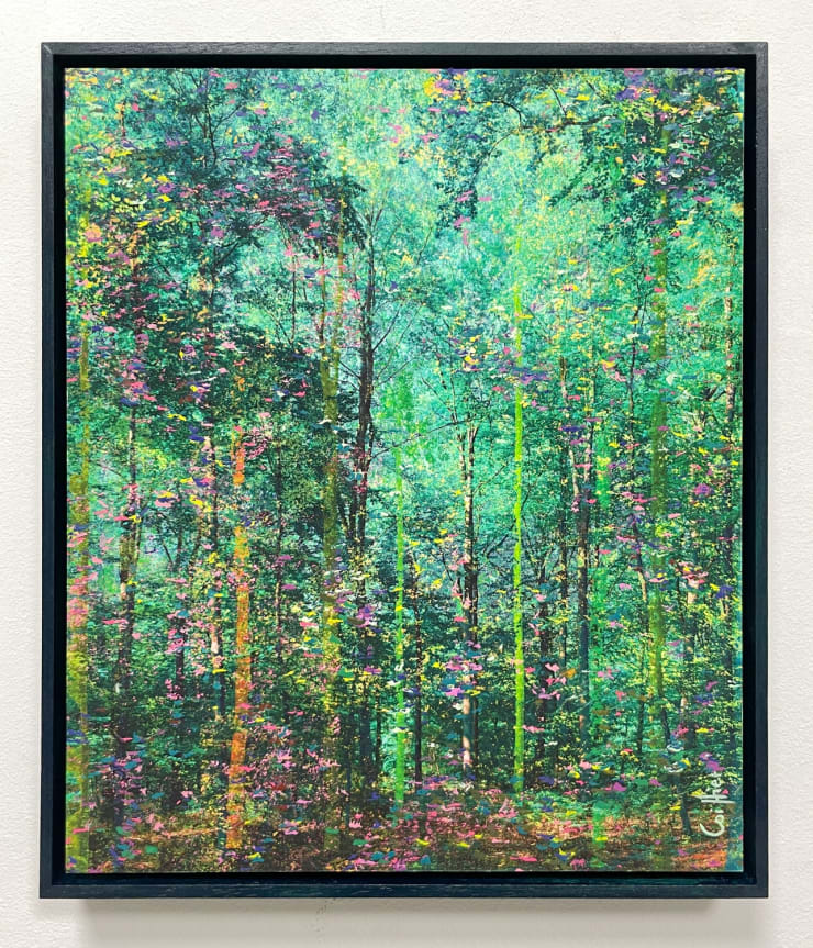 Martin Coiffier, Dreams