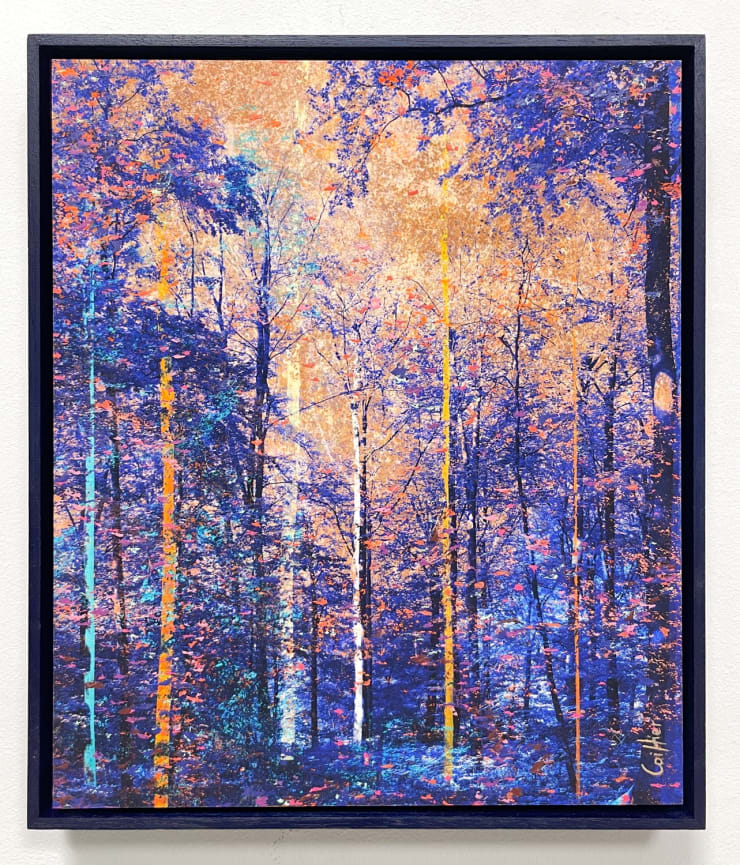 Martin Coiffier, Dreams