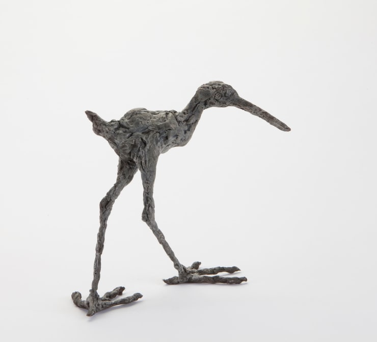 Ans Zondag - Waadvogel