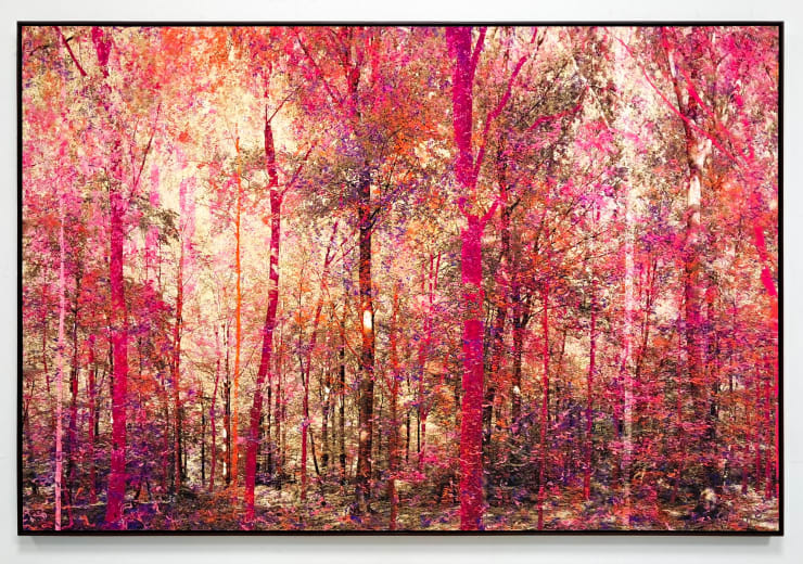 Martin Coiffier, Eden Day One