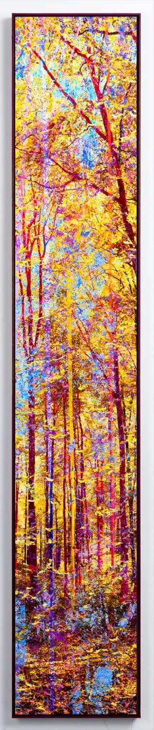 Martin Coiffier, The Riverside