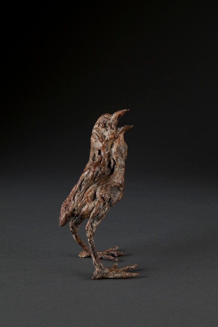 Ans Zondag - Piepkuiken