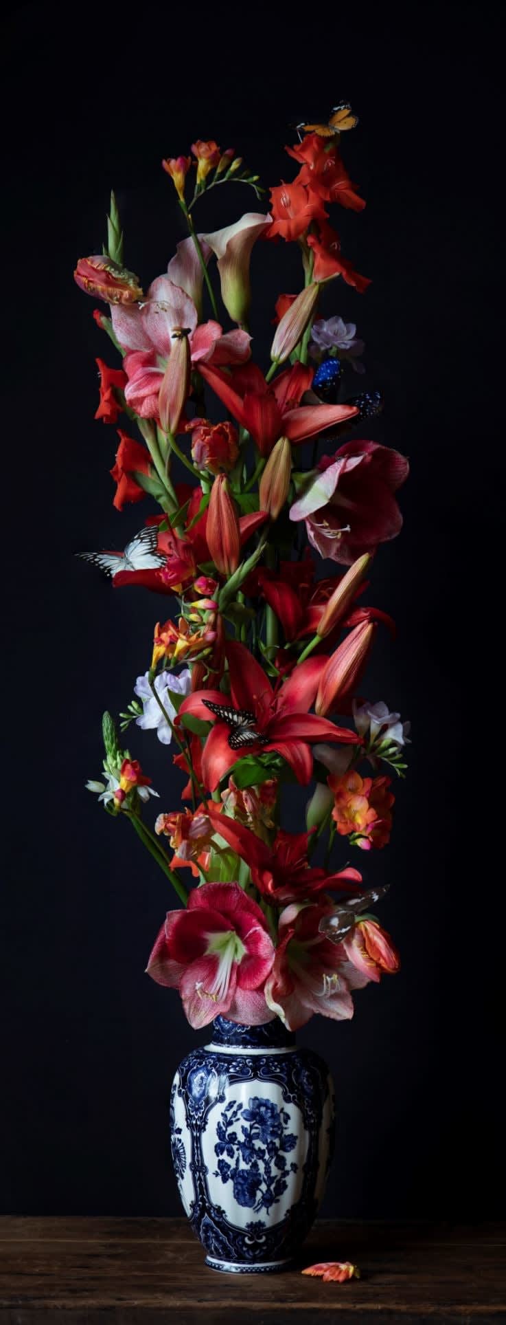 Iris Gonzalez - Flowers 17
