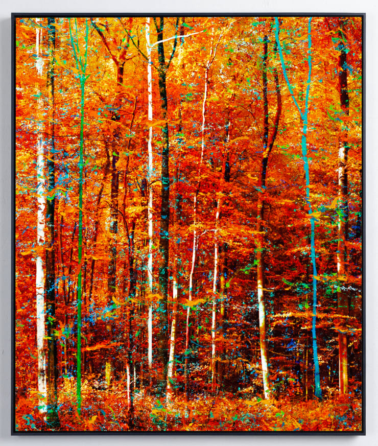 Martin Coiffier - Eden (orange)