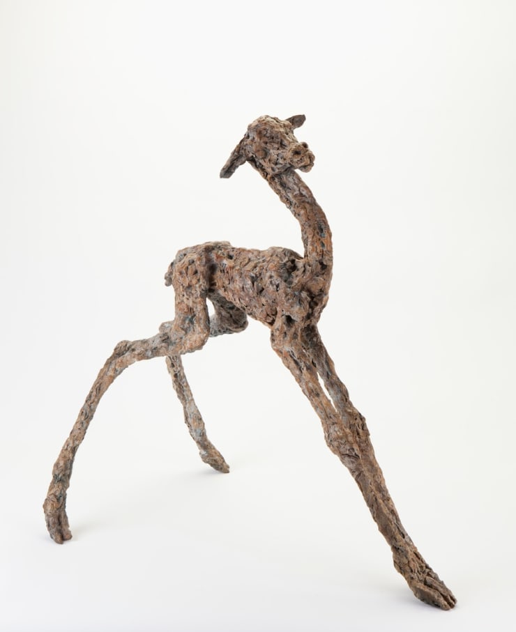 Ans Zondag - Alpaca