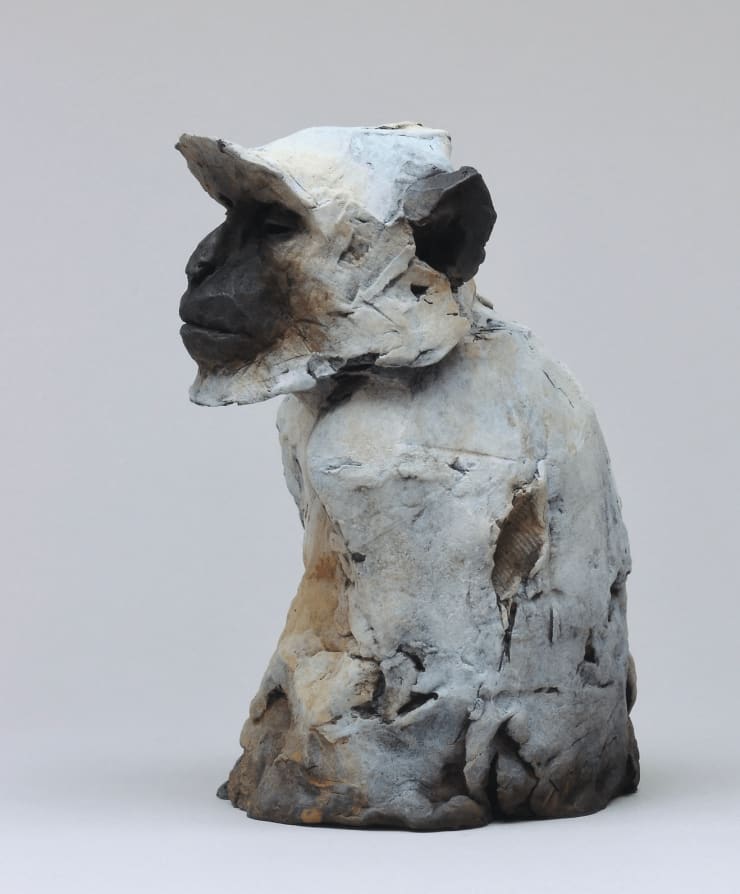 Nichola Theakston - Sacred Langur